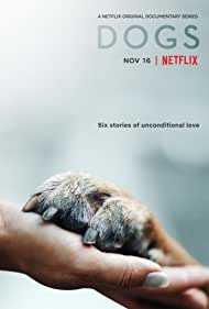 Dogs Season 2 (2021) เพื่อนแท้สี่ขา