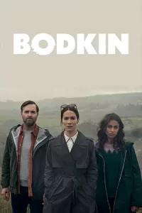 ดูซีรี่ย์ออนไลน์ Bodkin (2024)