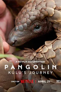ดูหนังออนไลน์ฟรี Pangolin: Kulu's Journey (2025)