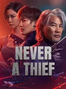 Never a Thief (2025) ทะลวงแผนโจร